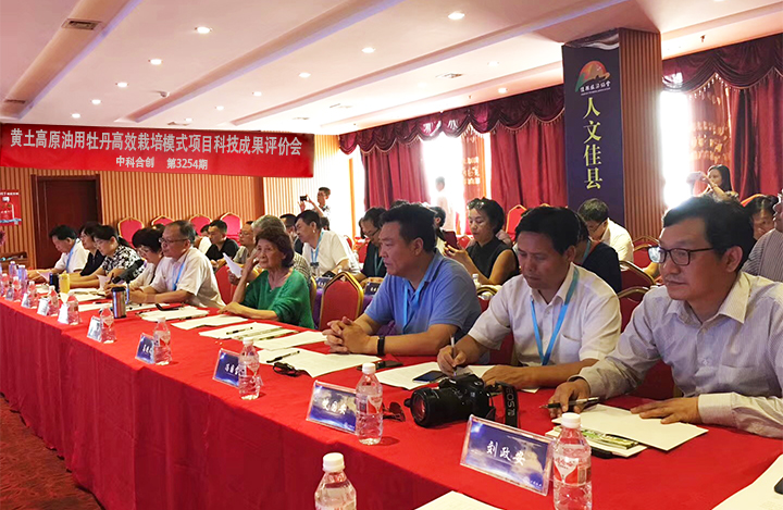 黄土高原油用牡丹高效栽培模式 anli.jpg